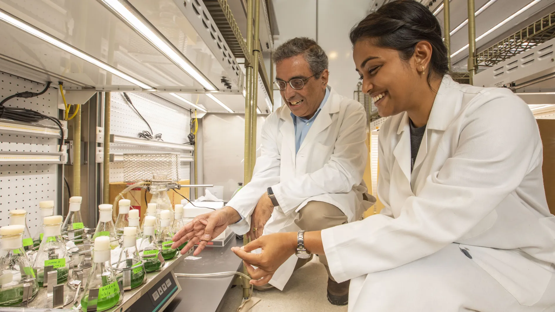 WashU Biology
