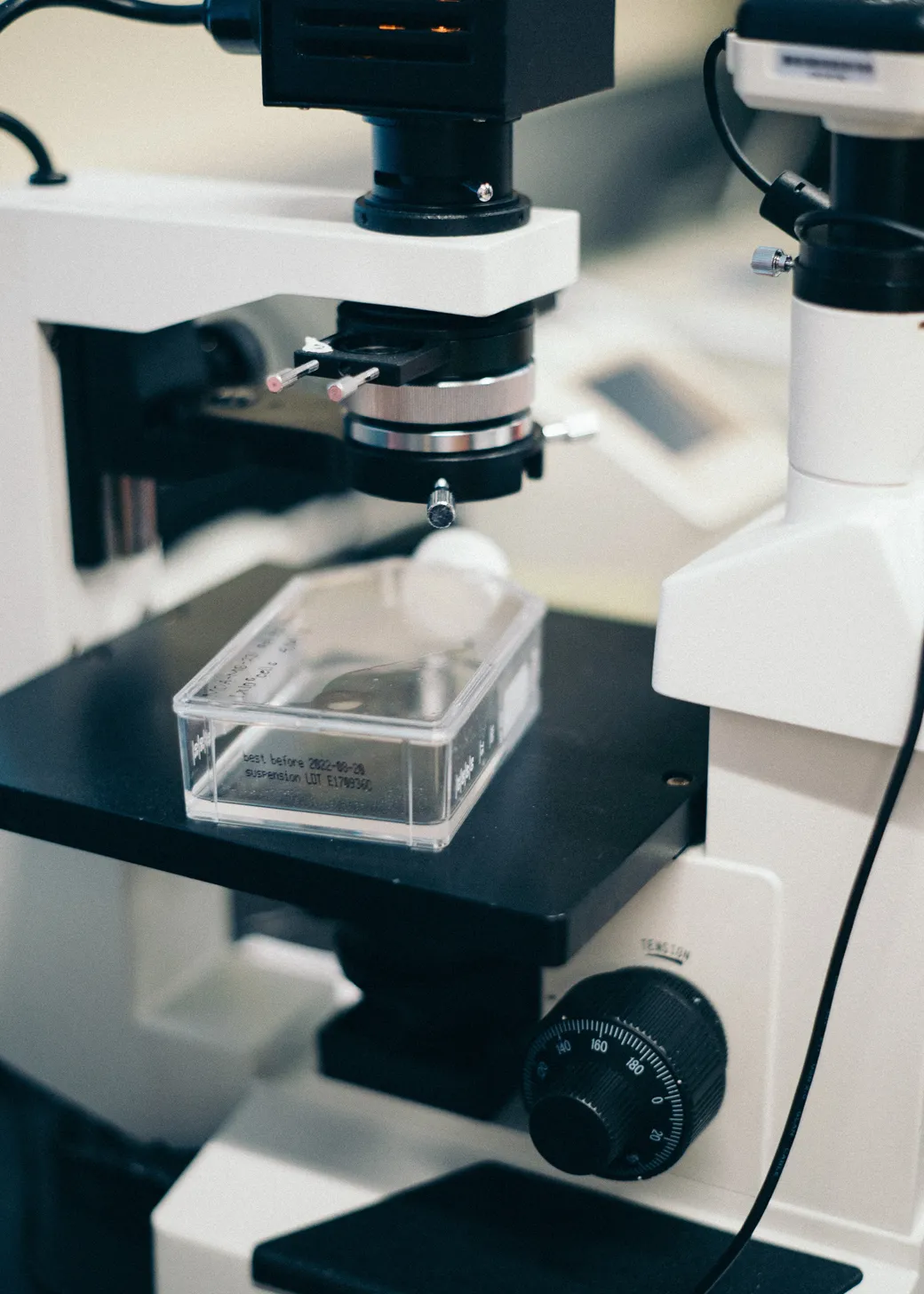 WashU Biology