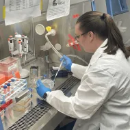 a member of the CRC works in a lab