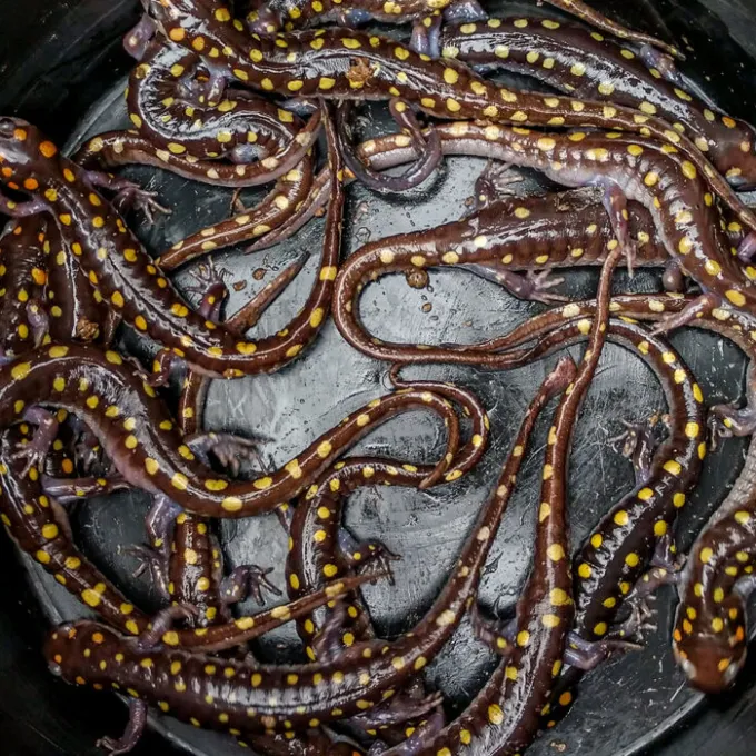 ""